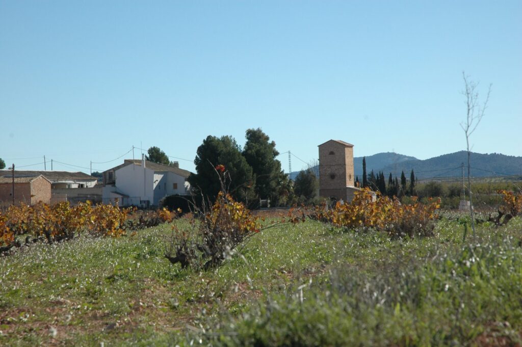 Pedania Paredon - vistas